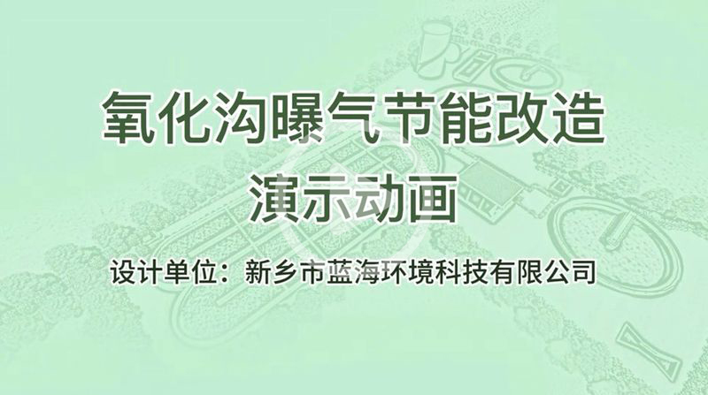 氧化溝曝氣機-動畫 藍海環(huán)境科技